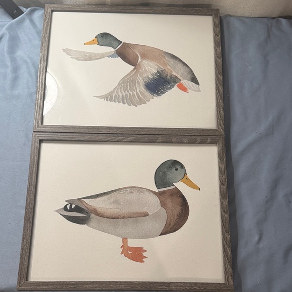 Other - Framed Mallard Duck Watercolor Prints - Set of 2